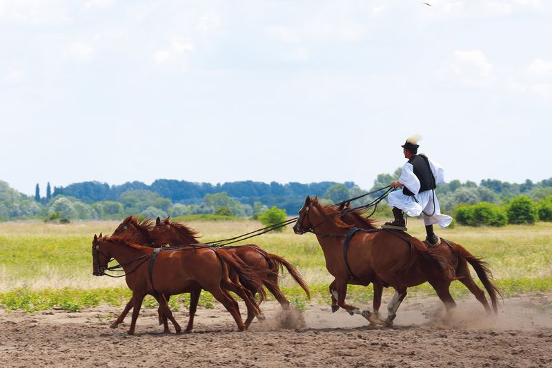 horse riding