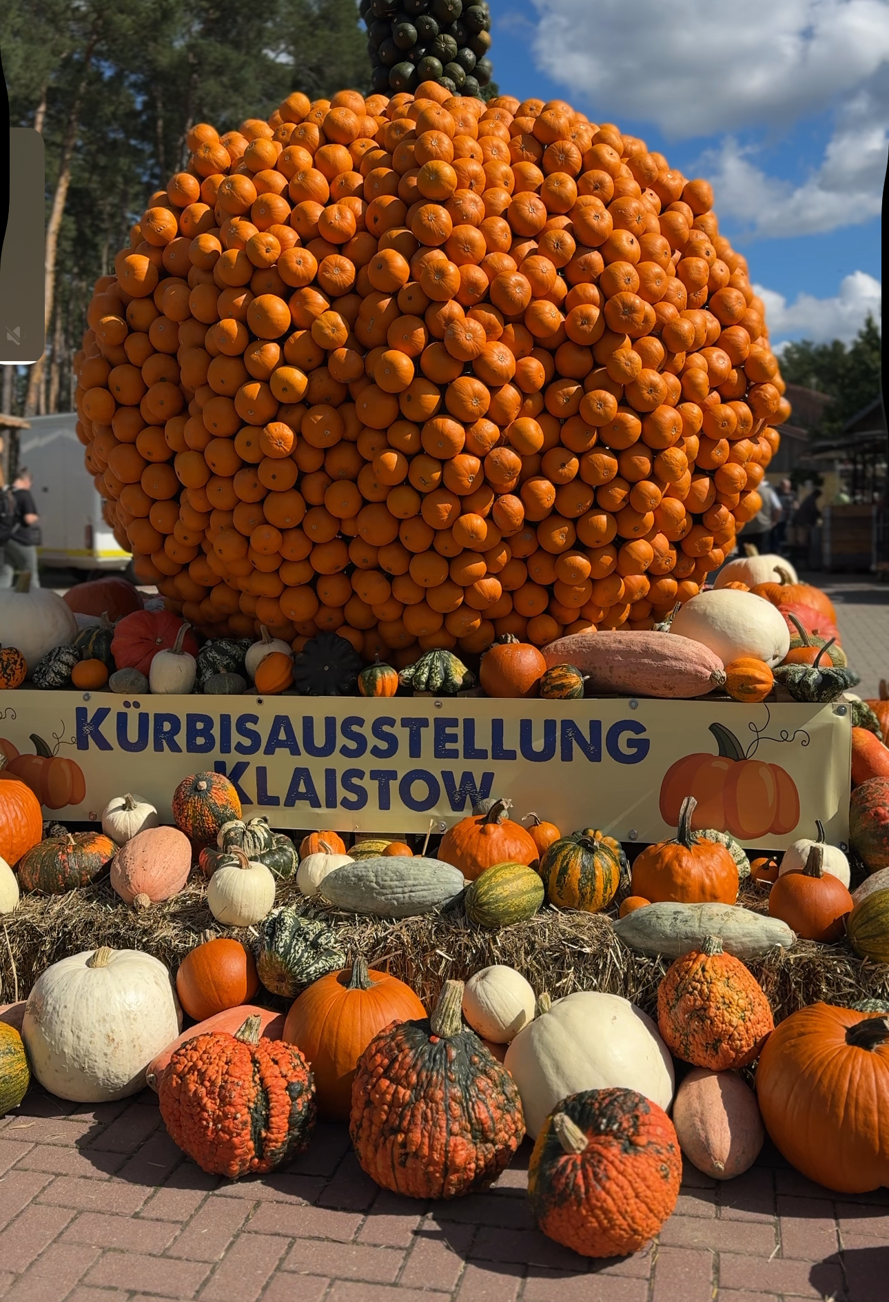 Spargelhof KlaistowIMG_2051